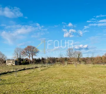 Istra, Marčana - okolica, samostojeća kuća s velikom okućnicom - cover