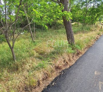 Otok Rab, Lopar, zemljište, 310m2 - cover