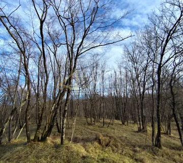 Viškovo, Saršoni, poljoprivredno zemljište 1058m2 - cover