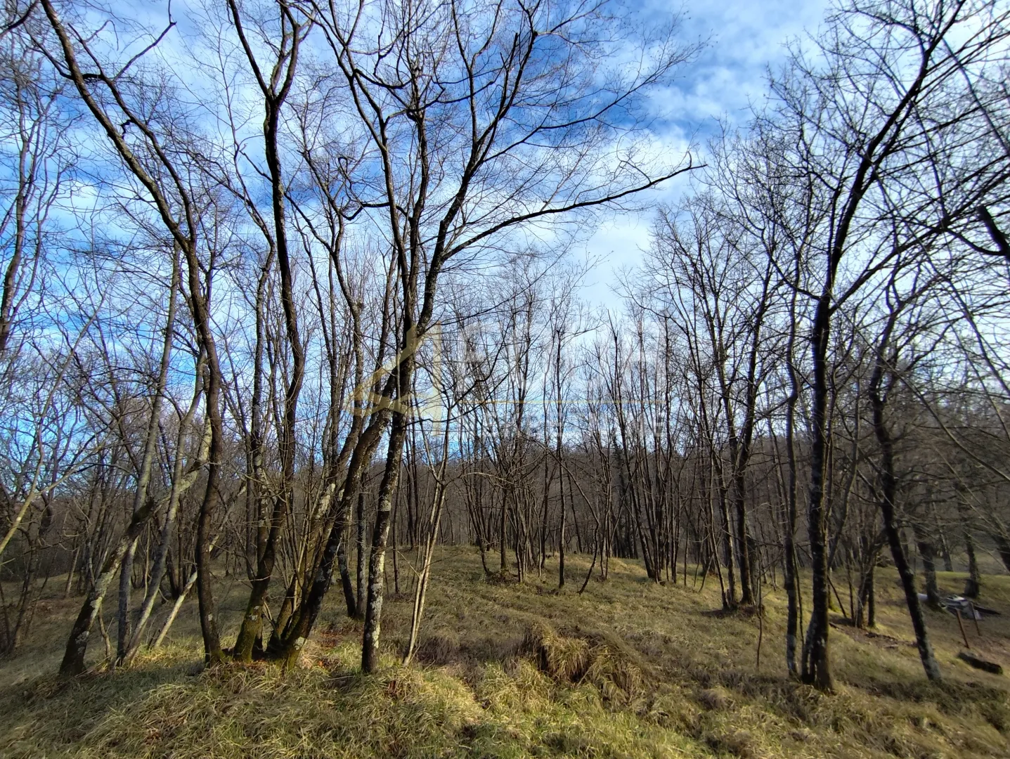 Viškovo, Saršoni, poljoprivredno zemljište 1058m2 - cover