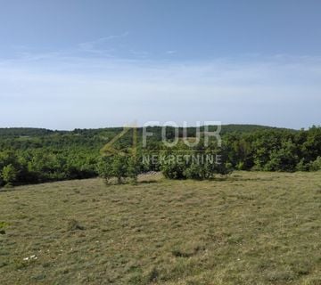 Istra, Višnjan - okolica, poljoprivredno zemljište 38.900m2 - cover