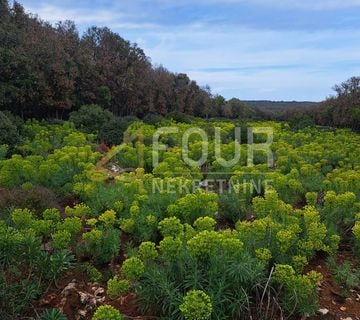 Punta Križa, poljoprivredno zemljište 7232m2 - cover