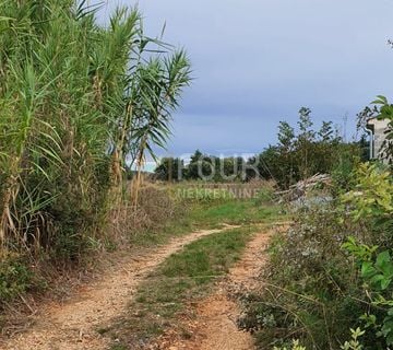 Istra, Rovinj, poljoprivredno zemljište 5000m2 - cover