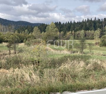 Gorski kotar, Delnice, zemljište 7.295m2 - dio građevinski  - cover