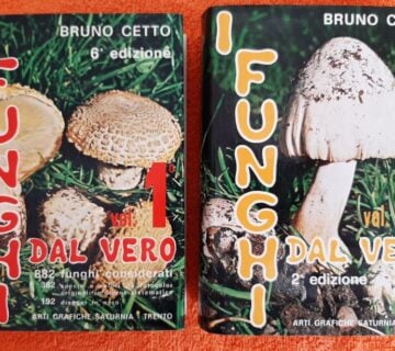 I funghi dal vero 1,2 - Bruno Cetto - cover