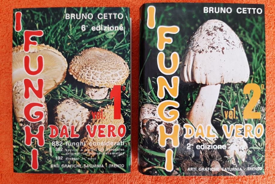 funghi-dal-vero-12-bruno-cetto-slika-209409749