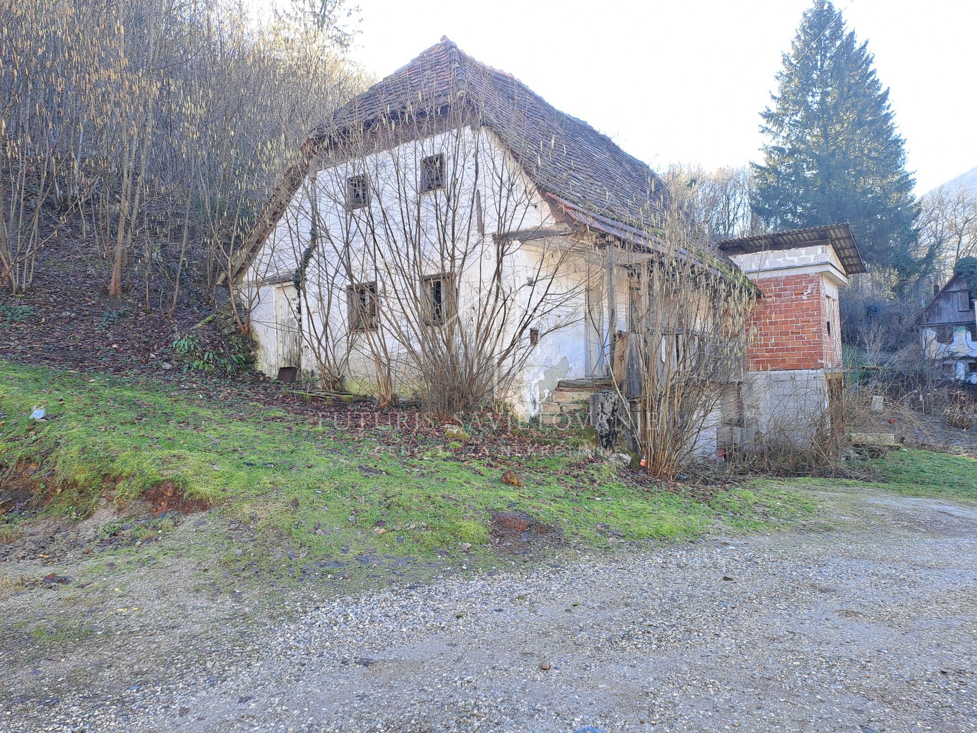 Fotografija