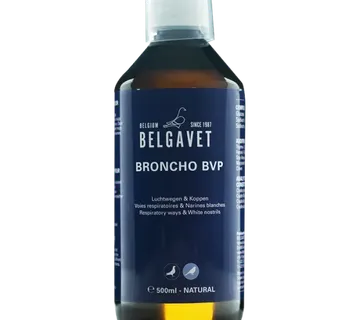 Belgavet BRONCHO BVP – 500ml - cover