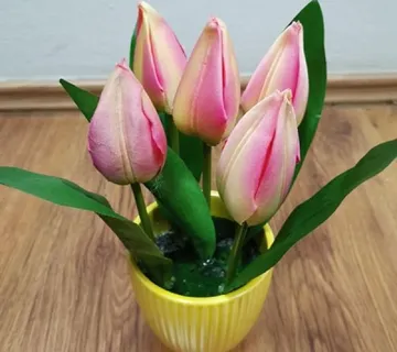 Umjetni tulipani u tegli - cover