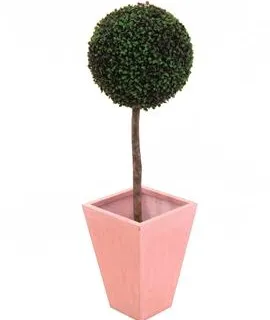 EUROPALMS Boxwood tree, 110cm, d=60cm - cover