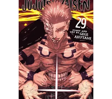 Jujutsu Kaisen vol. 29 - cover