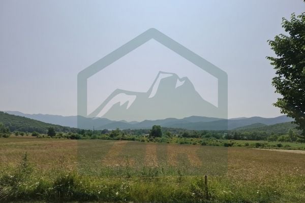 Fotografija
