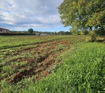 Građevinsko zemljište 2.357 m² u okolici Vižinade – idealno za vile - cover