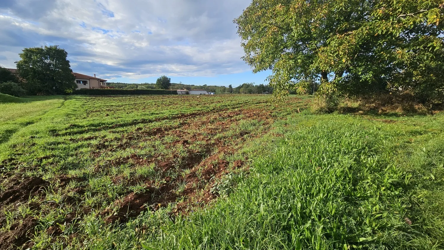 Građevinsko zemljište 2.357 m² u okolici Vižinade – idealno za vile - cover