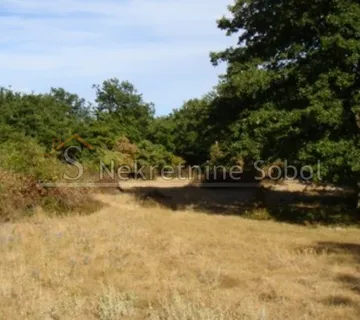 Cres, Beli - Poljoprivredno, 25088 M2 Prodaja - cover