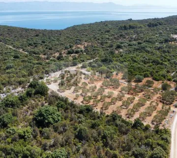 PRVI RED DO MORA – 9,7 ha NA PELJEŠCU ZA TURISTIČKI I GOSPODARSKI RAZVOJ - cover