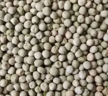 Zeleni grašak 1kg - cover