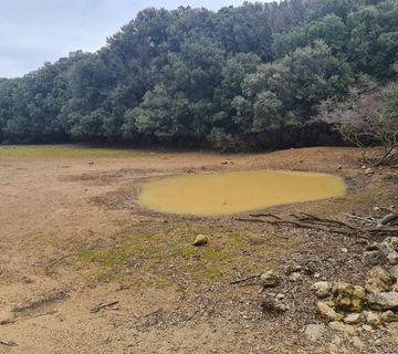 Poljoprivredno zemljište Punta Križa,40 000m2 - cover