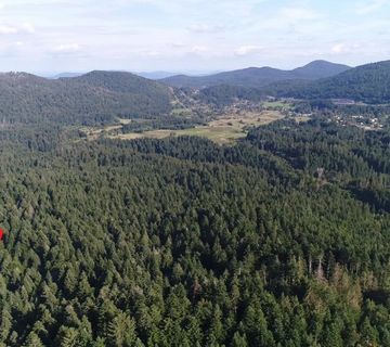 Poljoprivredno zemljište, Ravna Gora, 5835 m2 - cover