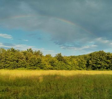 Poljoprivredno zemljište ,Istra - cover