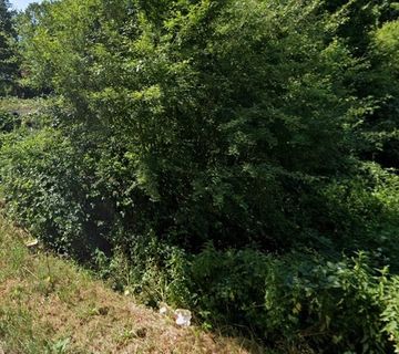 Teren u Plaškom - cover