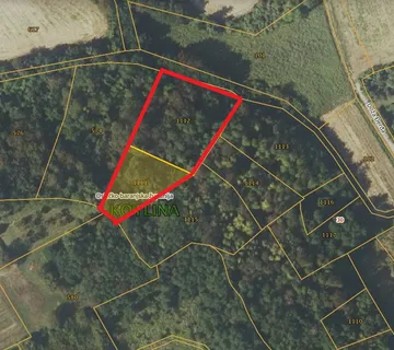 KOTLINA, PRODAJA ŠUMA + VOĆNJAK ukupne površine 3601 m2, PRILIKA! - cover