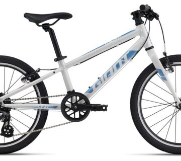 Bicikl GIANT ARX 20 - cover