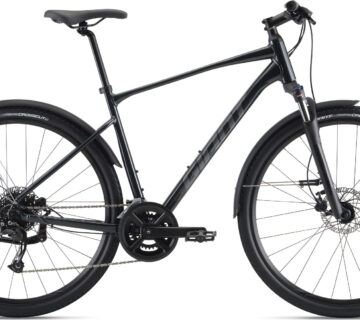 Bicikl GIANT ROAM EX - cover