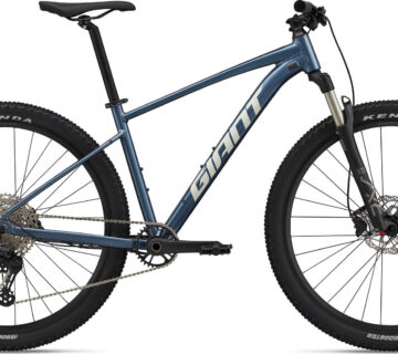 Bicikl GIANT TALON 29 0 - cover