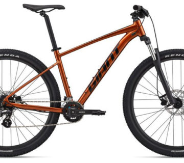 Bicikl GIANT TALON 29 3 - cover