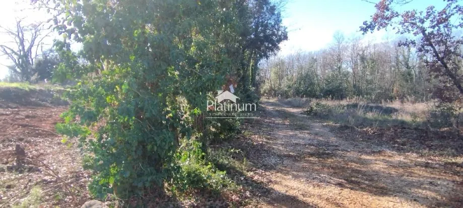 Istra,Duga uvala poljoprivredno zemljište 351m2 - cover