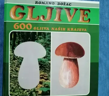 Romano Božac – 600 gljiva naših krajeva - cover