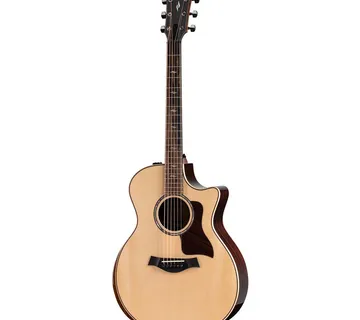 TAYLOR 814ce V-CLASS - Zagreb