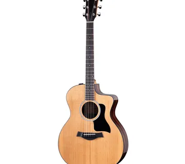 TAYLOR 214ce PLUS - Zagreb