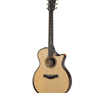 TAYLOR K14ce BUILDER'S EDITION - Zagreb
