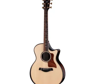 TAYLOR 814ce BUILDER'S EDITION NEXT GENERATION - Zagreb