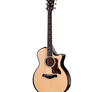 TAYLOR 514ce BUILDER'S EDITION NATURAL TOP - Zagreb