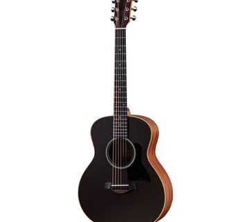TAYLOR GS MINI-e SPECIAL EDITION TRANS BLACK - Zagreb