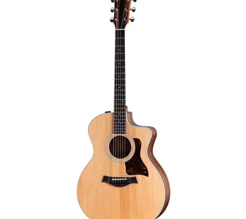 TAYLOR 214ce - Zagreb