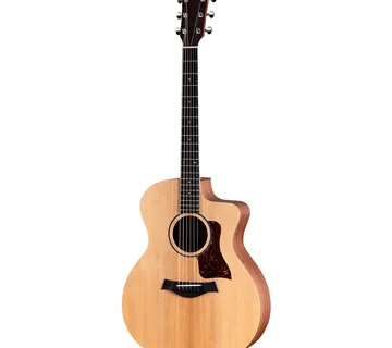 TAYLOR 14ce GRAND AUDITORIUM - Zagreb
