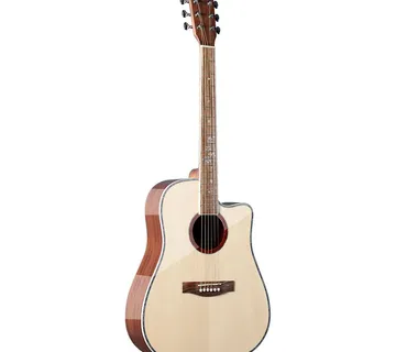 Chard Ed55a Nt A301 Elektro Akustična Gitara - Zagreb