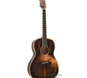 Aosen Sg650 - Zagreb