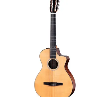 TAYLOR 212ce-N PLUS - Zagreb