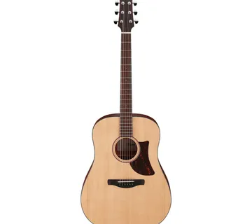 Ibanez Aad100 Opn - Zagreb