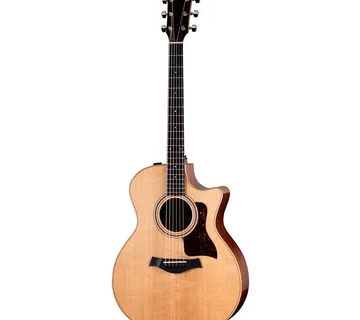 TAYLOR 314ce STUDIO NATURAL - Zagreb