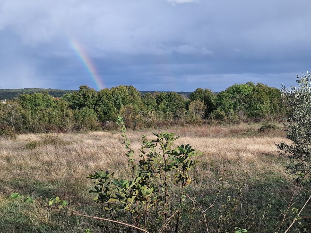 Fotografija