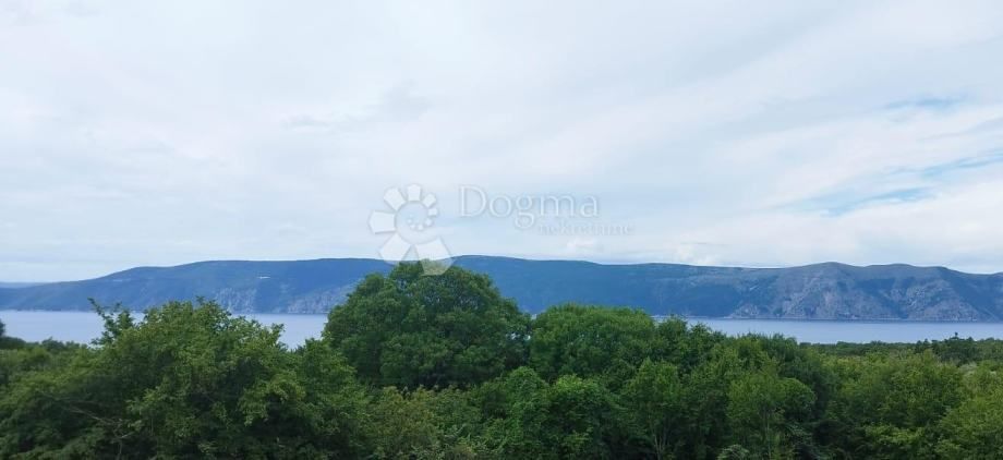Fotografija