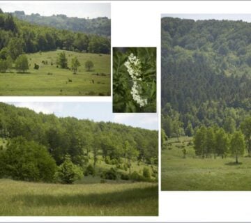 Građevinsko zemljište, Stari Laz, 38516 m2 - cover