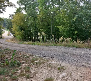 Građevinsko zemljište, okolica Vižinade sa otvorenim pogledom, 979 m2 - cover
