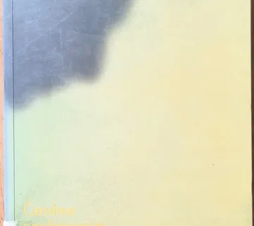 ČAROBNA PRODAVAONICA IGRAČAKA Angela Carter - cover